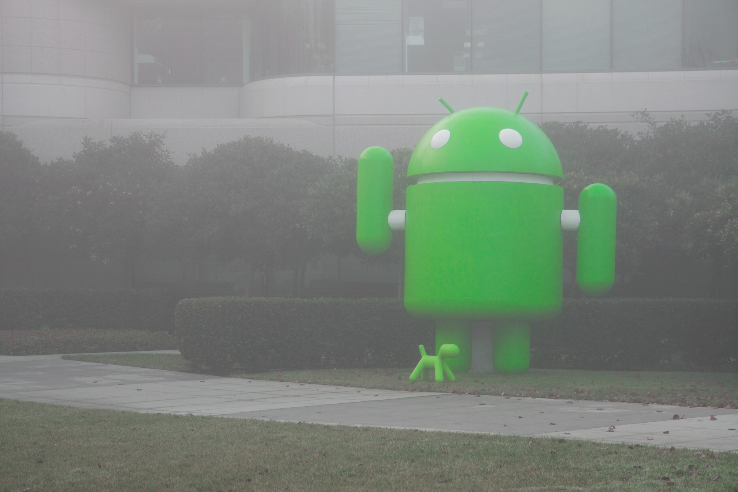 Android in the mist 56a6ab6a3df78cf7728fa207 scaled