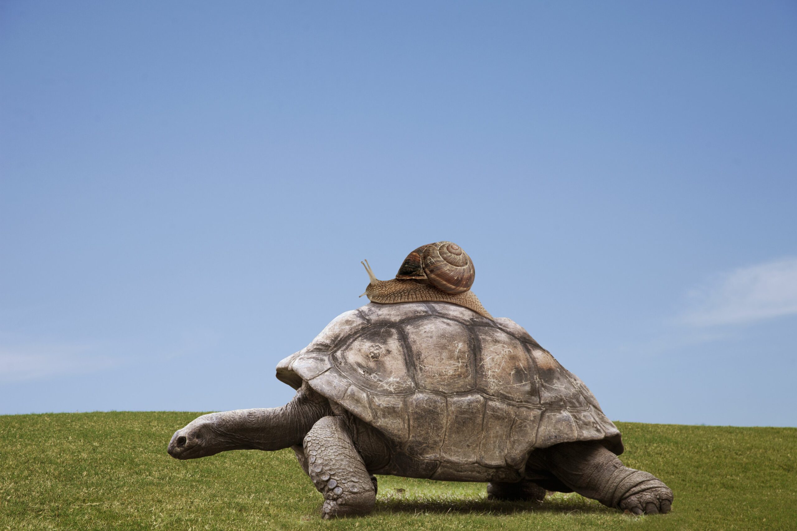 teaching solely in german slows you down 56a36b0c5f9b58b7d0d1e055 scaled