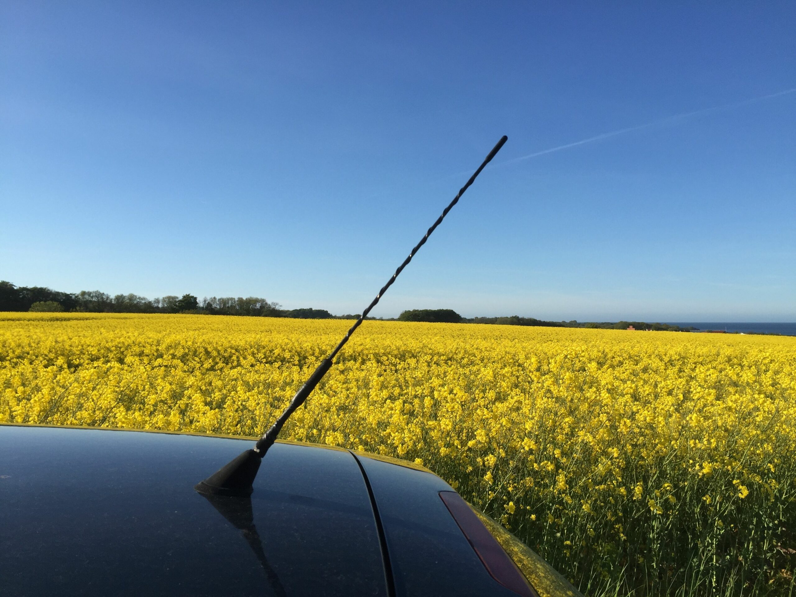 car parked by flowering field against clear blue sky 586916213 5b49c1c846e0fb00374f23a4 scaled