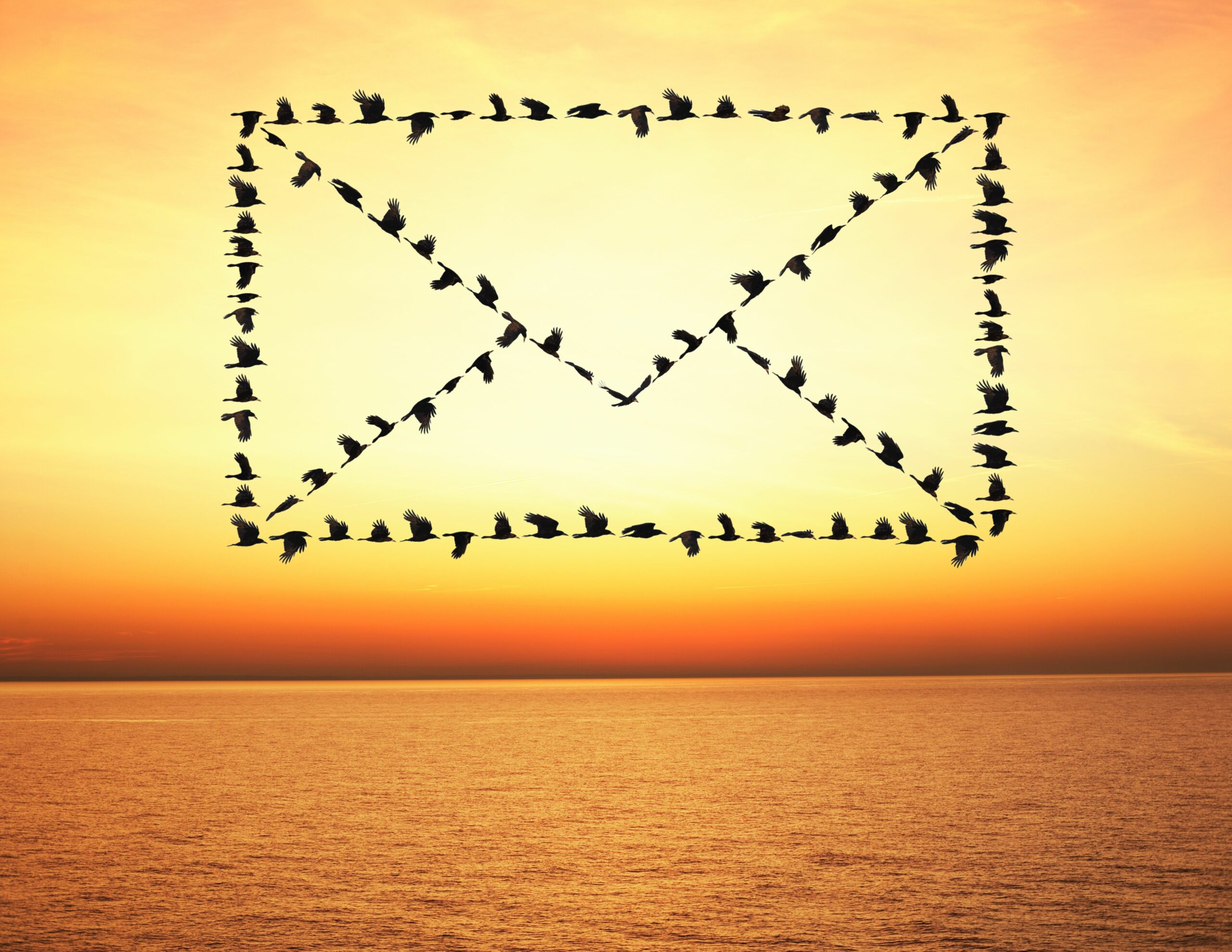 flock of birds flying in email envelope formation 83461799 5737707a5f9b58723d4e3844 scaled