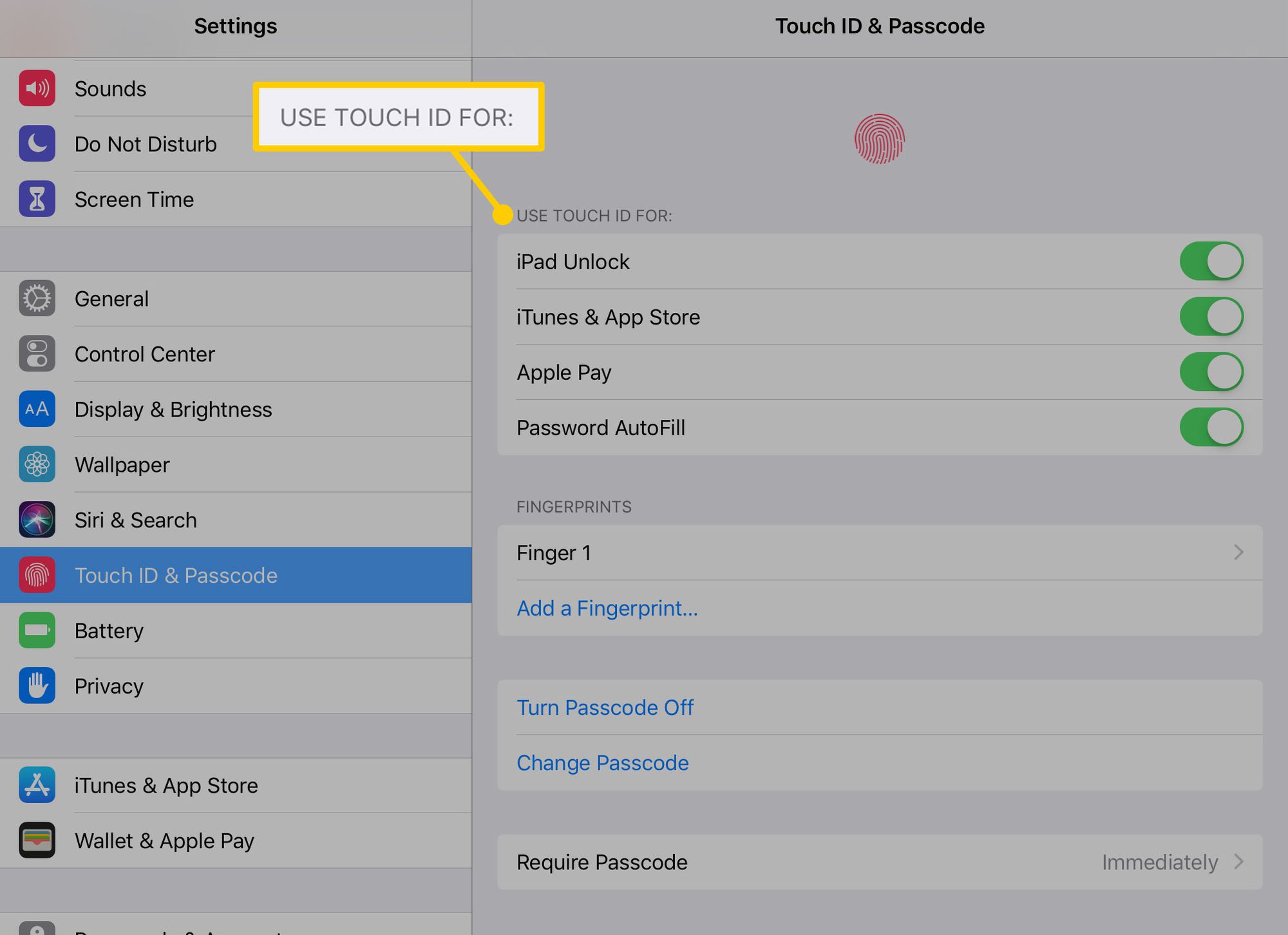 Touch ID:n käyttäminen iPadin asetuksissa