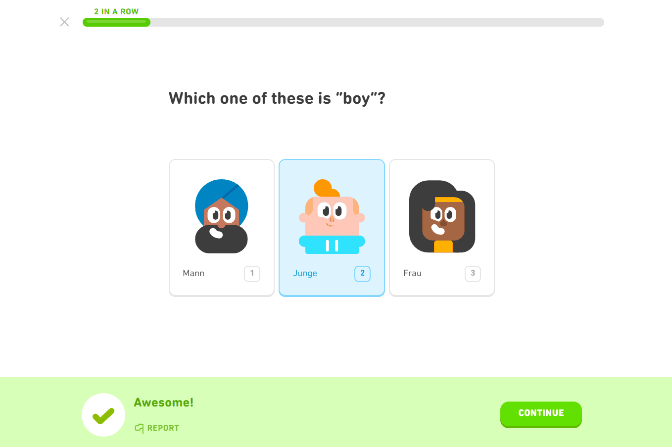 duolingo language lesson 9487238df8fd4c77bde4f90e552e2259