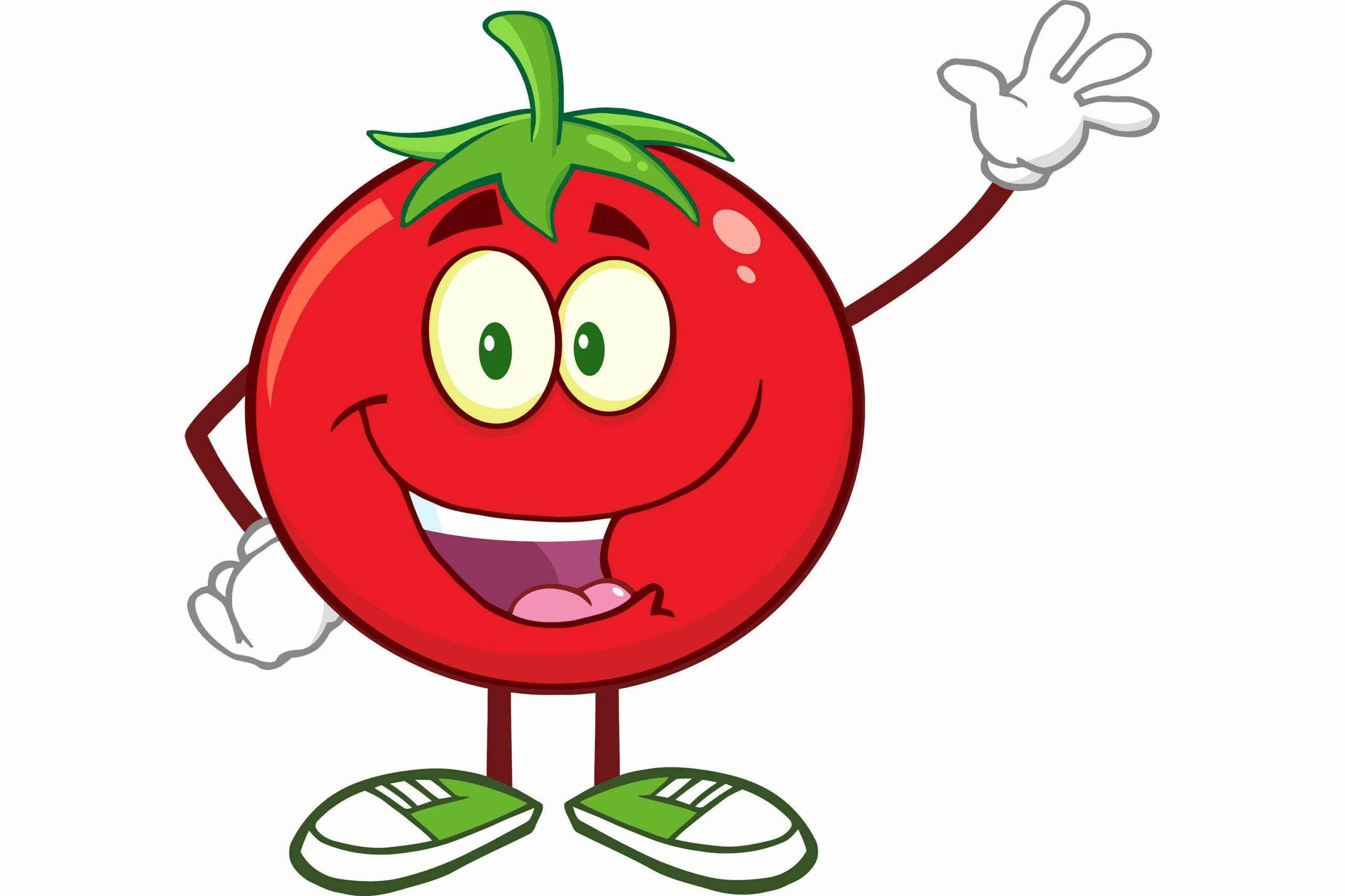 tomatovectorguy 9be92cbcf9044bffac8067c6519d74e5 scaled