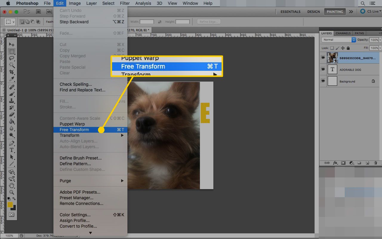 Photoshop Macissa, jossa Free Transform -komento on korostettuna