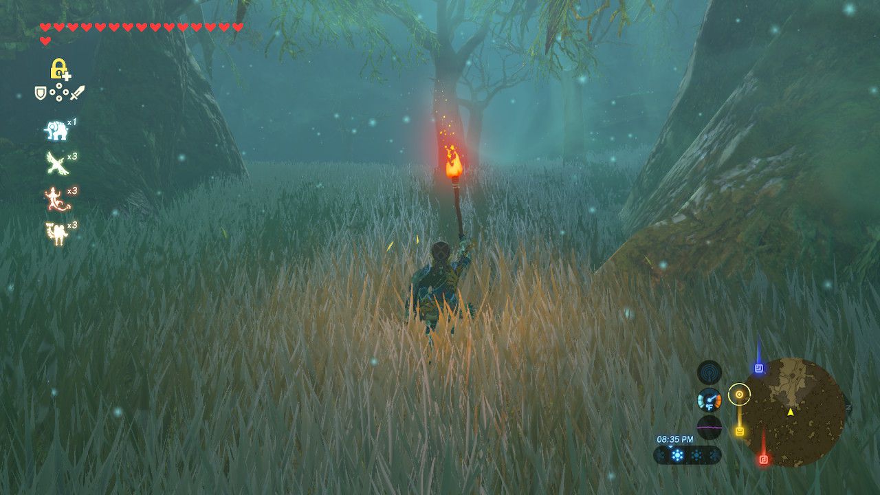 Löytää polku mestarimiekkaan elokuvassa The Legend of Zelda: Breath of the Wild.