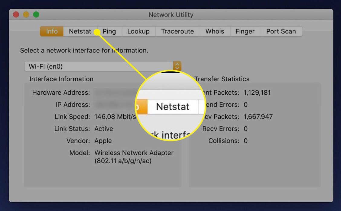 Netstat-välilehti Network Utilityssa