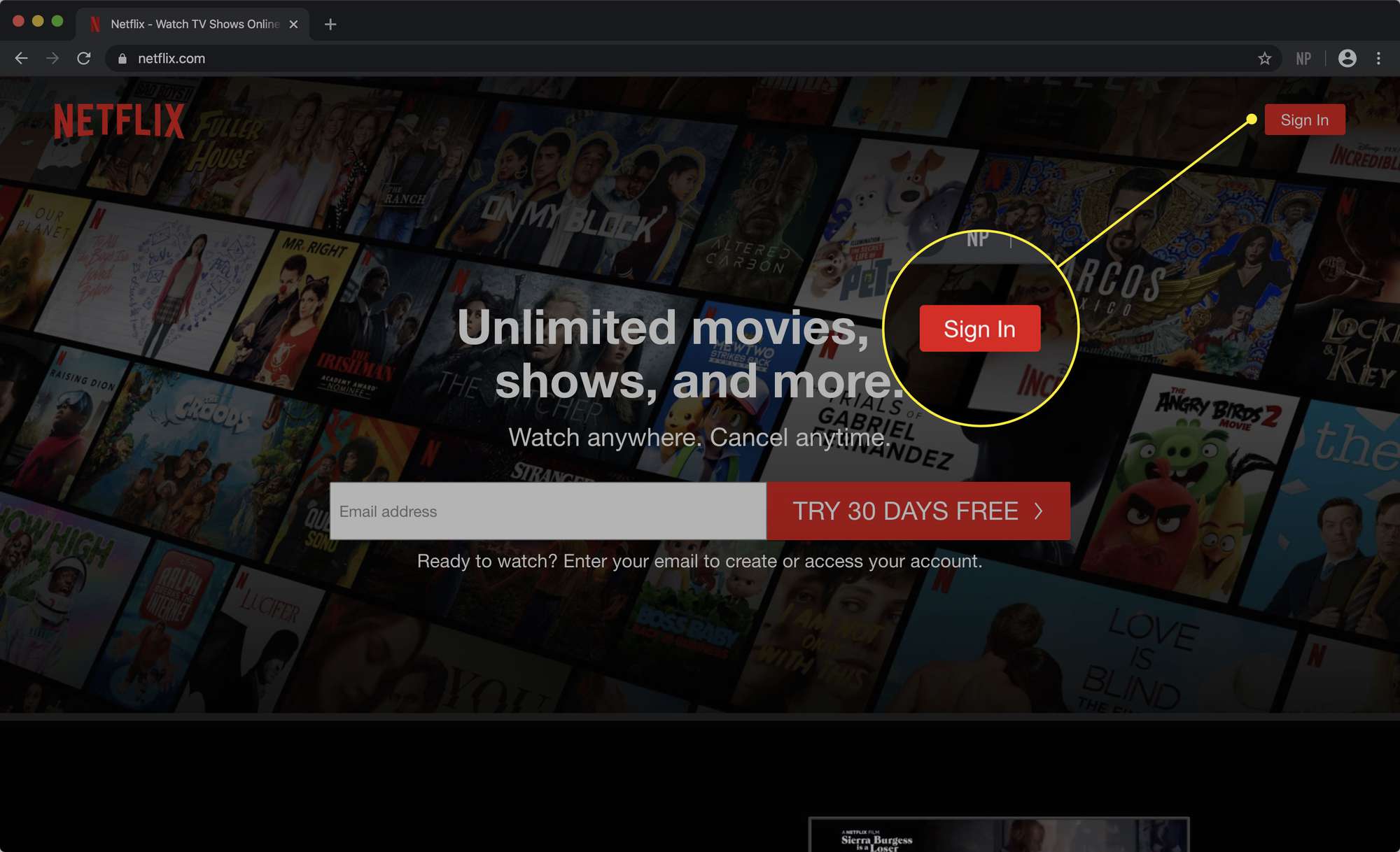 Kuvakaappaus Netflix-sivustosta, jossa on korostettuna kirjautumispainike