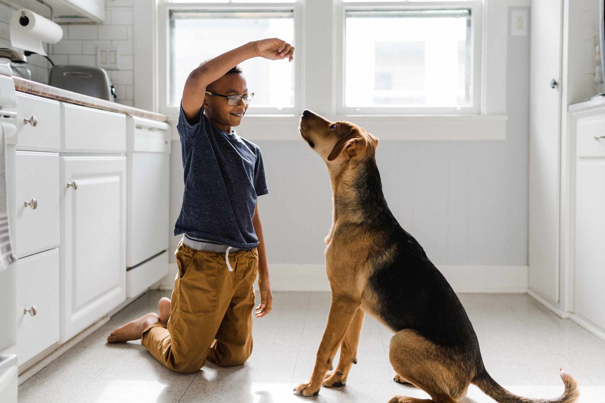 Poika kouluttaa koiraansa herkulla kirkkaasti valaistussa keittiössä