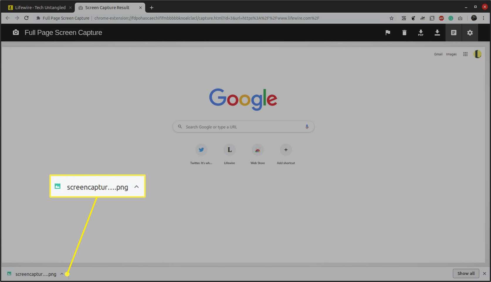 Google Chrome -selaimen Full Page Screen Capture -selainlaajennuksen Screen Capture Results -sivu, joka näyttää latausikkunan.